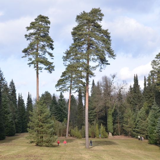 Arboretum Řícmanice