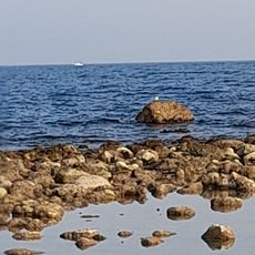 Lo Codolar de l'Almadrava