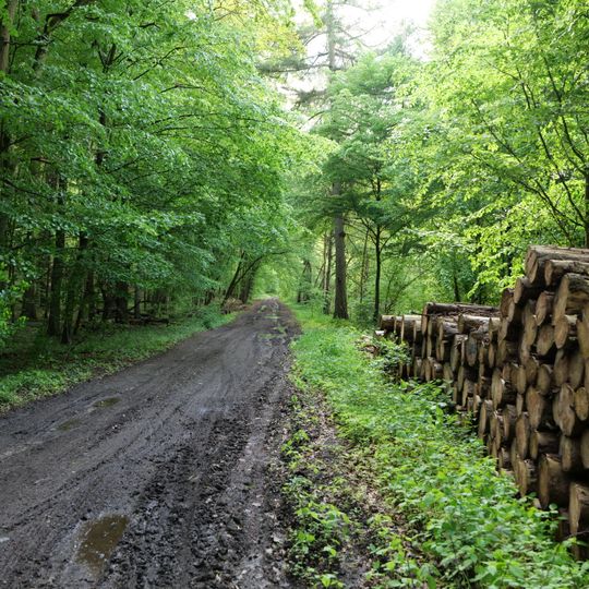 Boitzenburger Tiergarten und Strom