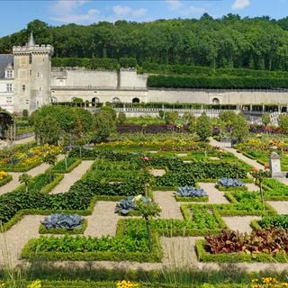 Gardens of the Château de Villandry