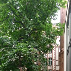 Mietshaus (Hofgebäude) Grolmanstraße 36