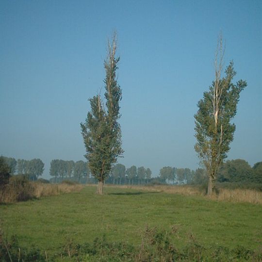 NSG Kranenburger Bruch