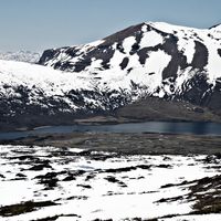 Picunches Department