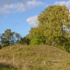 Nr 4 och 6: Kungshögarna