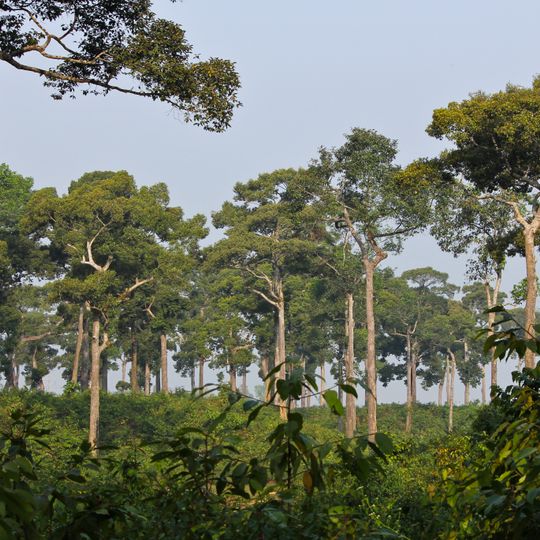 Parco nazionale di Medhakachhapia