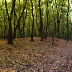 Hügelgräberfeld Ragerwald