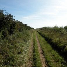 Worstead Street (Via Devana) near Cambridge