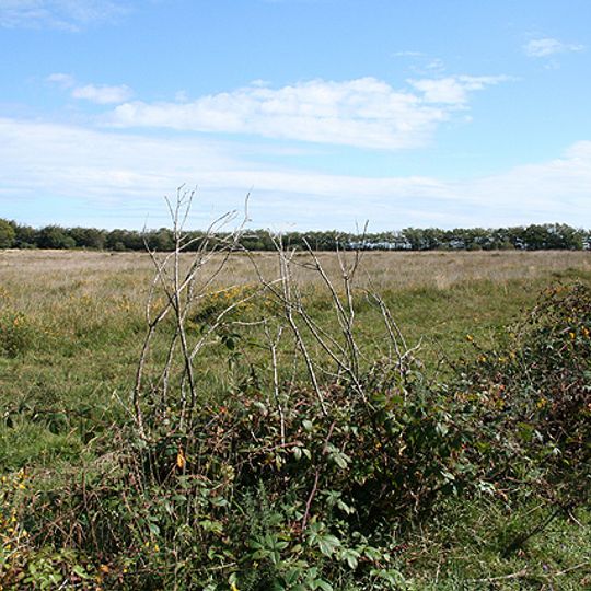 Rackenford and Knowstone Moors