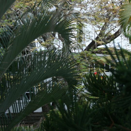 Maison des directeurs de Grands Bois