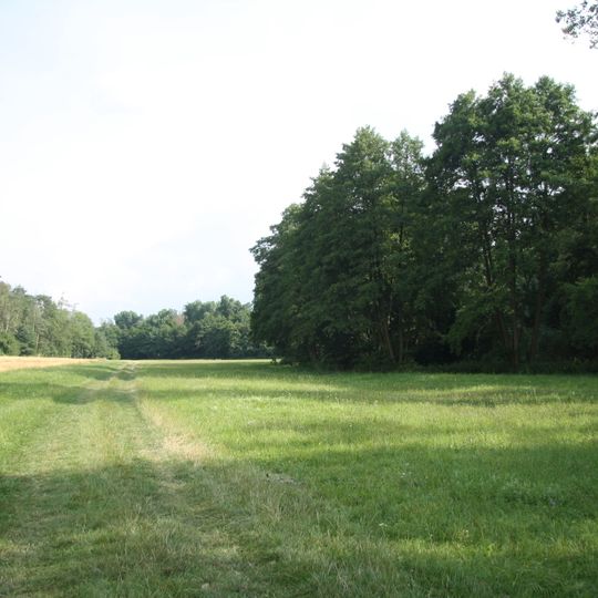 Jedlový les a údolí Rokytné