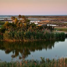 Naturpark Ebrodelta