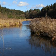 Moore zwischen Dietramszell und Deining