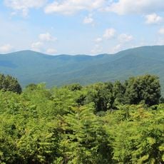Cohutta Wilderness