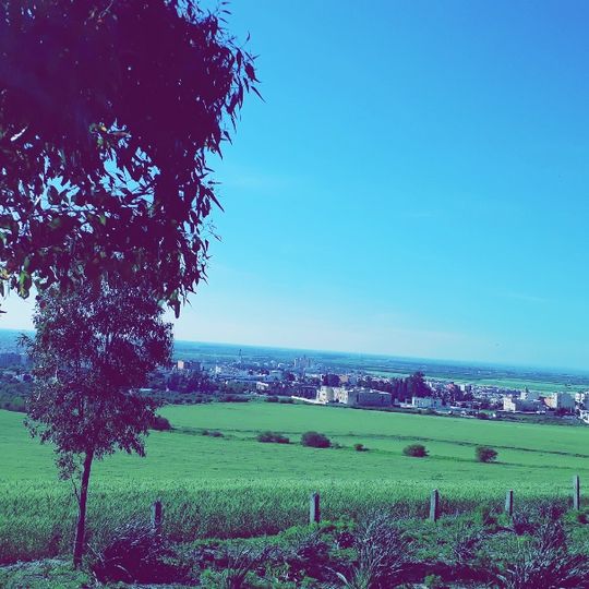 Provincia di Sidi Kacem