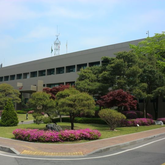 Paju