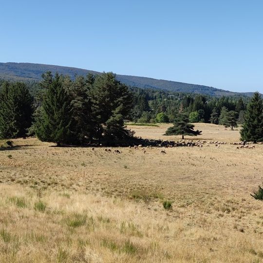 Camping GCU de Camprieu