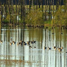 Unteres Peenetal (Mecklenburgische Seenplatte, Altkrs.Demmin)