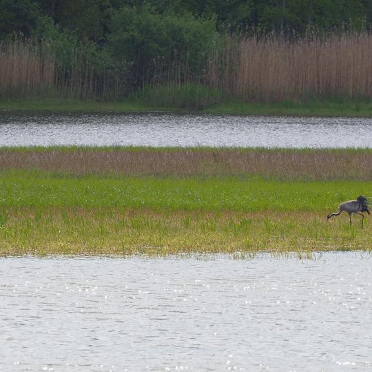 Teichgebiet Biehla-Weißig