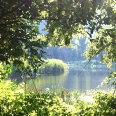 Cratere degli Astroni