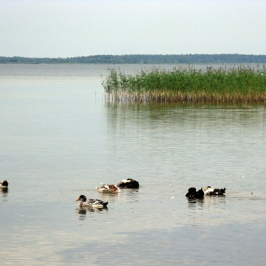 Szacki Park Narodowy