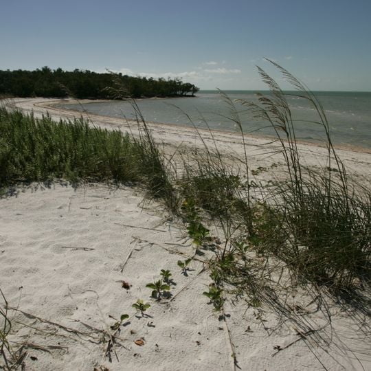 Ten Thousand Islands