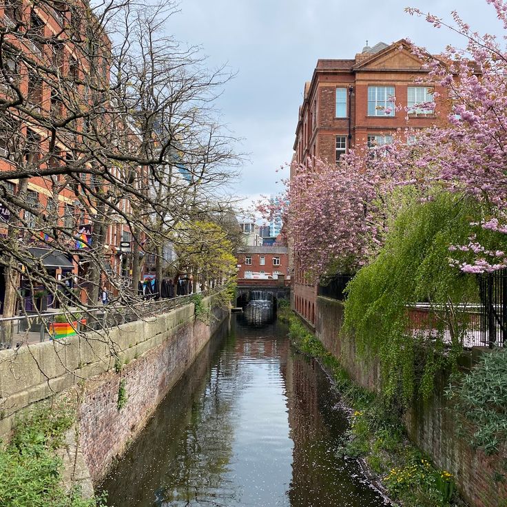 Gay Village