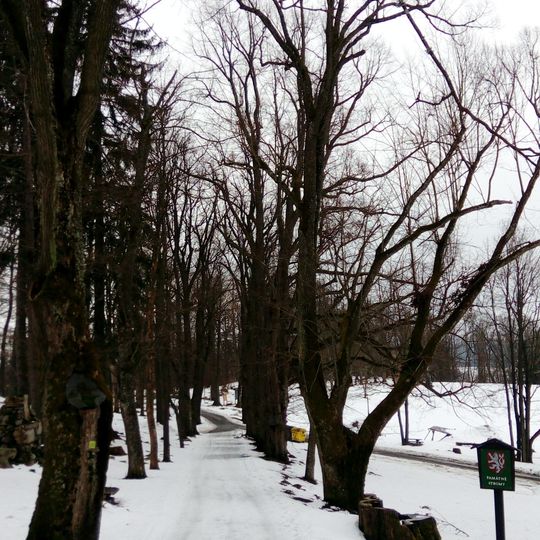 Devět lip v Horní Plané