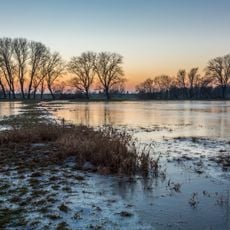 Nebenarme der Weser mit Strohauser Plate und Juliusplate