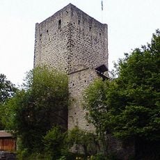 Burg Sulzberg