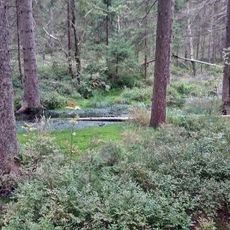 Kleiner Kranichsee, Butterwegmoor und Henneberger Hang