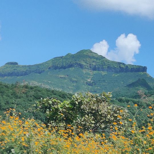 Purandar Fort