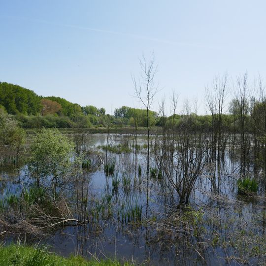 NSG Olle Wiese und Bachsysteme zwischen Erwitte und Stirpe
