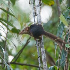 Campbell Bay National Park
