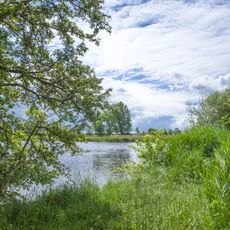 Vogelschutzgebiet Alter und Neuer See