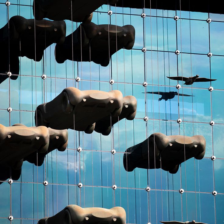 Cité de l'Automobile