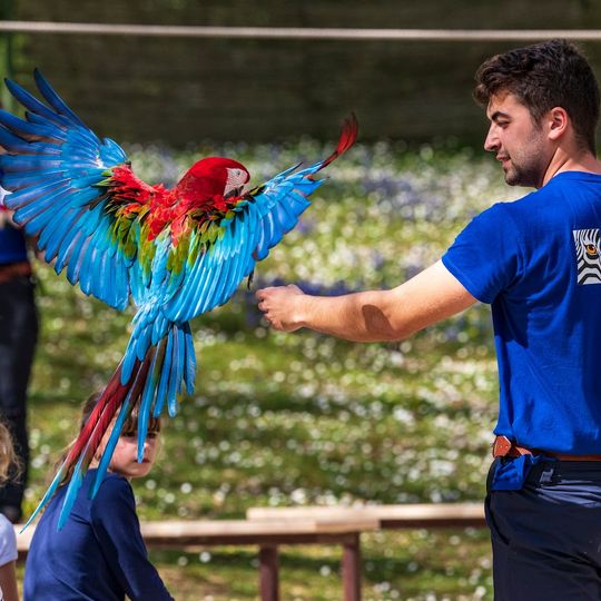Zoo African Safari de Plaisance du Touch