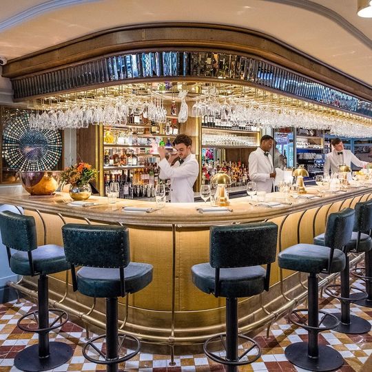 The Ivy