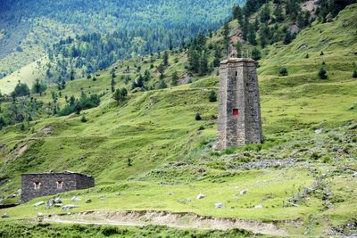 Immagine alternativa