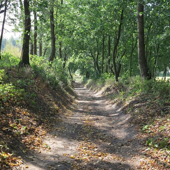 Orle, Grudziądz County