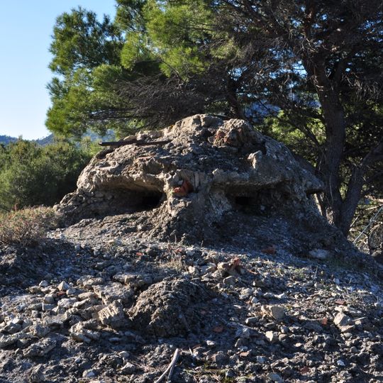 I Settore di Copertura Bassa Roja