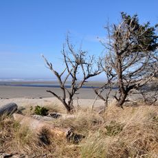 Ona Beach State Park