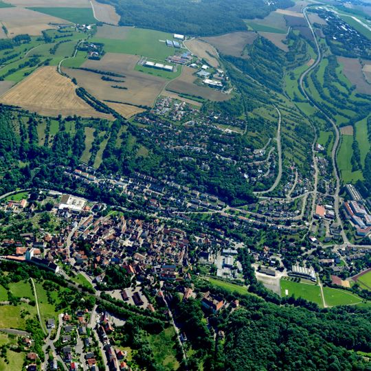 Wildentierbacher Berg