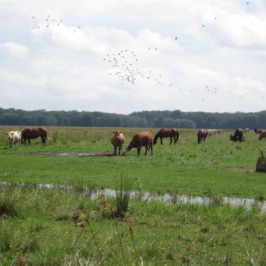 Commune de l'Île-Dupas
