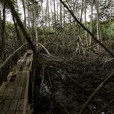 Tumbes Mangals National Sanctuary