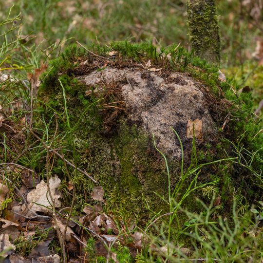 Grenzstein Fürther Stadtwald in Fürth