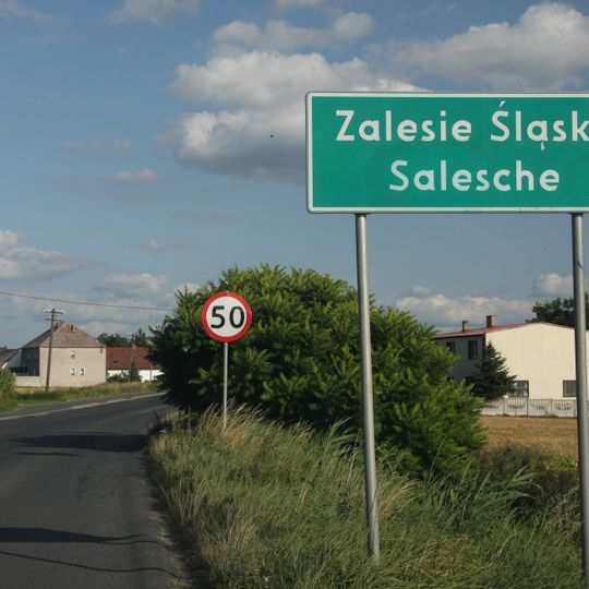 Zalesie Śląskie