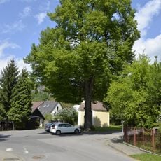 Lípa srdčitá u kapličky na Malé Skále