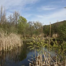 Střelická bažinka