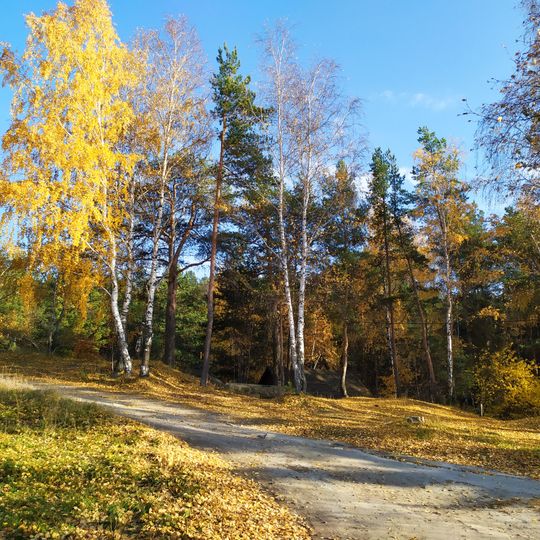 Шарташский лесной парк