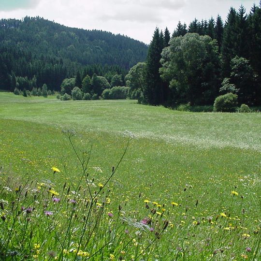 Tal der Kleinen Gusen